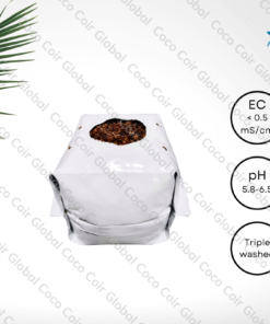 Công ty TNHH COCO COIR GLOBAL 10