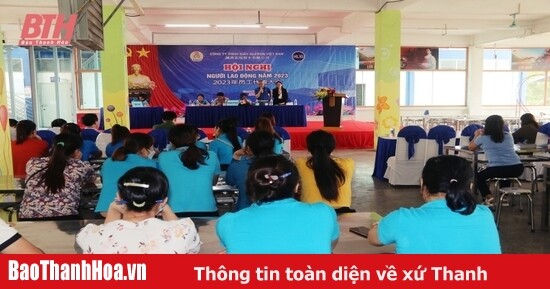 Aleron Việt Nam 3