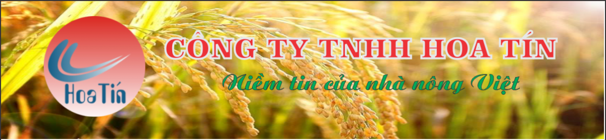 CÔNG TY TNHH HOA TÍN 10