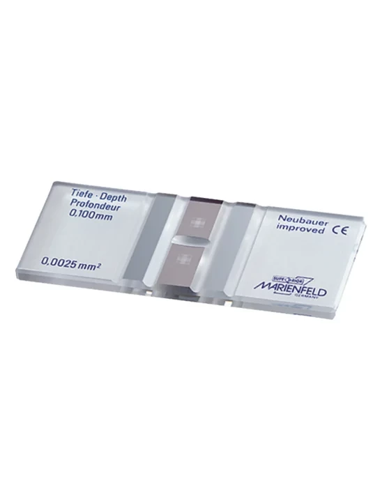 Cysina Việt Pháp 6