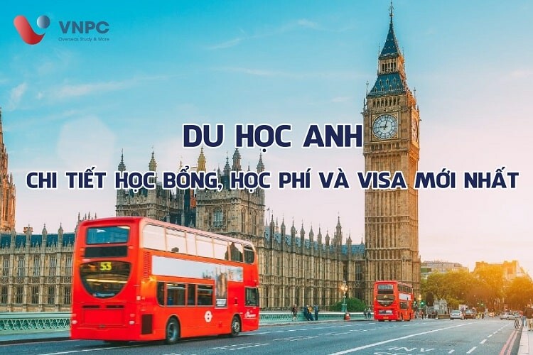 Tư Vấn Chuyên Nghiệp Việt Nam 3