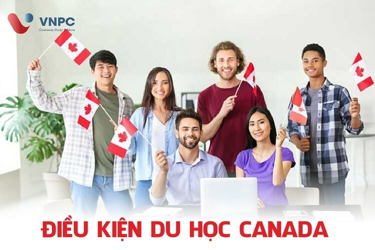 Tư Vấn Chuyên Nghiệp Việt Nam 6