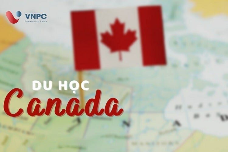 Tư Vấn Chuyên Nghiệp Việt Nam 7