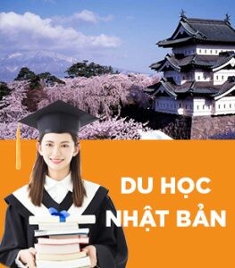 Nhân Lực Quốc Tế Việt 6