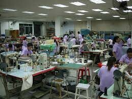 Proline Việt Nam 8