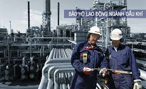 Proline Việt Nam 7