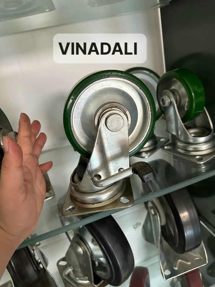 VINADALI VIỆT NAM 6