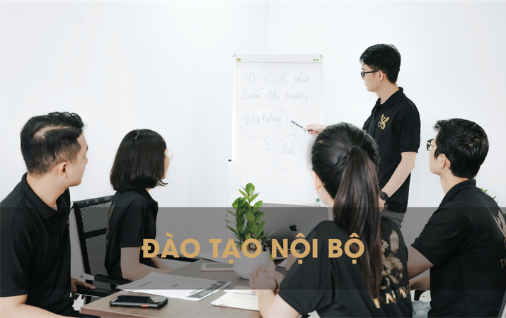 THÀNH VINH HOLDINGS 9