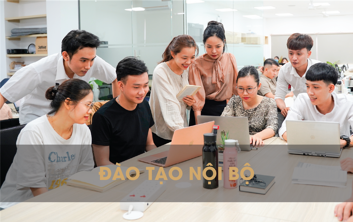 THÀNH VINH HOLDINGS 3