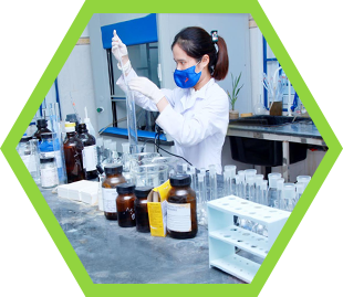 Môi Trường Nghi Sơn 2