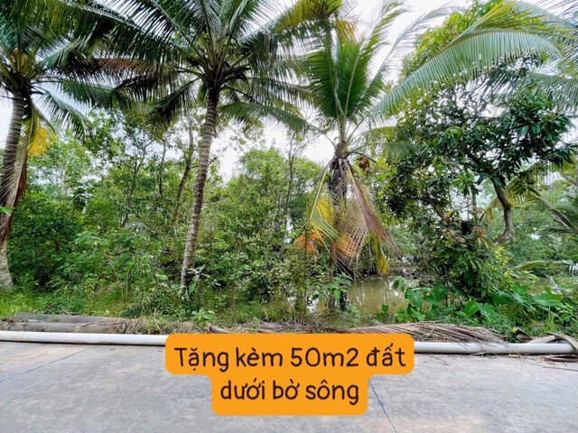 PHÚ THÀNH CÔNG 6