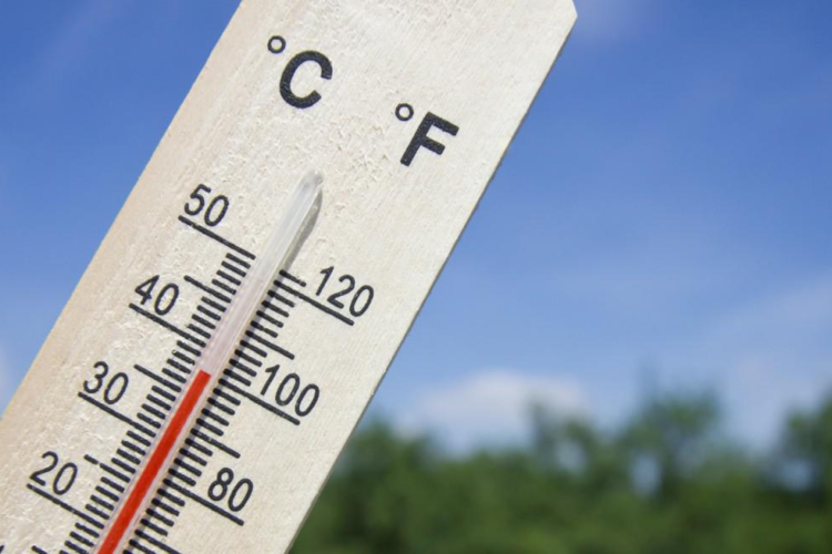 CÔNG TY TNHH DƯỢC PHẨM KHANG QUỐC 5