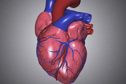 CÔNG TY TNHH DƯỢC PHẨM KHANG QUỐC 8