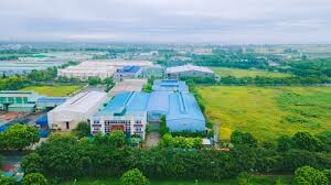 BRASLER VIỆT NAM 2