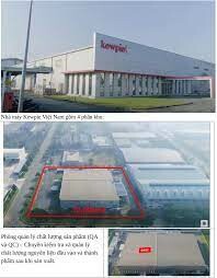 Công ty TNHH Kewpie Việt Nam 7