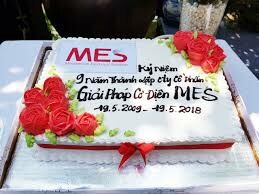 Công ty CP Giải Pháp Cơ Điện MES 1