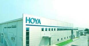 Hoya Glass 5