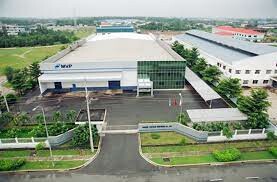 Maruei Vietnam Precision 3