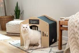 Sportpet Consumer Products Vietnam 1