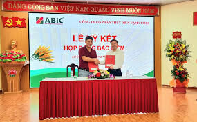 Bảo Hiểm Ngân Hàng Nông Nghiệp 4