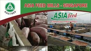 Asia Feed Mills Hà Nam 5