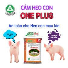 Asia Feed Mills Hà Nam 1