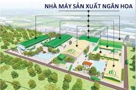 Sản xuất và Thương mại Ngân Hoa 10