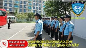 BẢO VỆ THANH BÌNH PHÚ MỸ 1