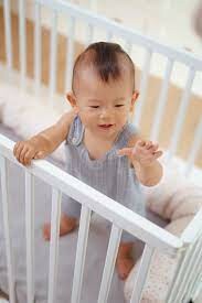 Geuther Việt Nam 9