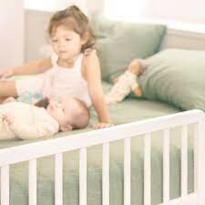 Geuther Việt Nam 8