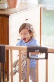 Geuther Việt Nam 5