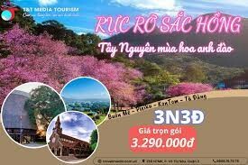 Du Lịch Và Truyền Thông T&T 3