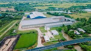 Ricegrowers Việt Nam 1