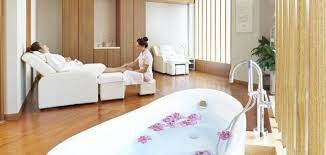 Spa Nikko Hotel 5* 7