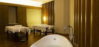 Spa Nikko Hotel 5* 2