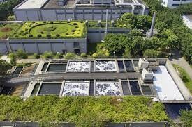 Tianhai (Việt Nam) 2