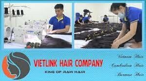 Vietlink Hair 2