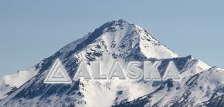 Cơ Điện Lạnh và Thương Mại Hòa Bình 14