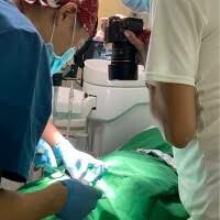 Westcoast International 7