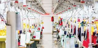 Eagle Nice Việt Nam 8