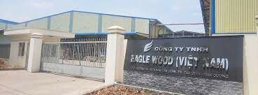 Eagle Nice Việt Nam 4