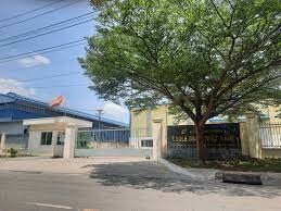 Eagle Nice Việt Nam 2