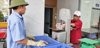 Tâm Đức Cẩm Phả 5