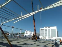 Perennial Cable (Việt Nam) 1