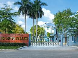 FOCI LIGHTING VIỆT NAM 3