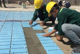 Zhanchen (Việt Nam) 1