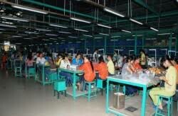 Công Ty TNHH Đỉnh Vàng 3