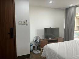 THE LIGHT APARTMENT 4