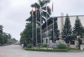 Taeyang Việt Nam 5