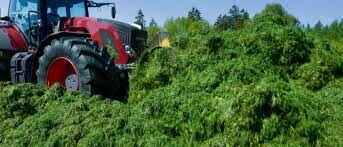 Schaumann Việt Nam 2